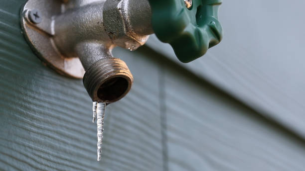 Best Local Plumber Services  in Pinardville, NH